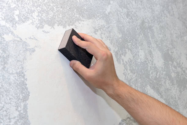 Best Mold Removal for HVAC Installations  in Moss Point, MS