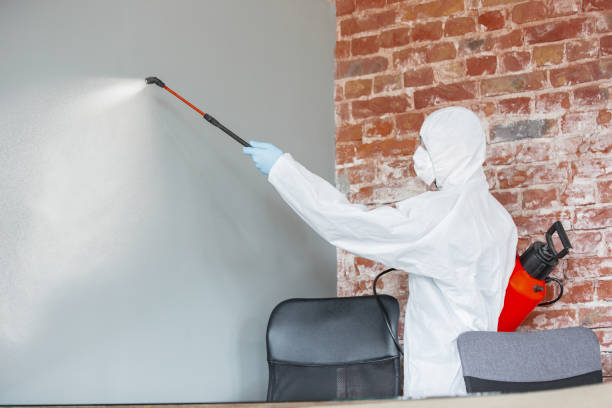 Reliable Moss Point, MS Mold Removal Solutions