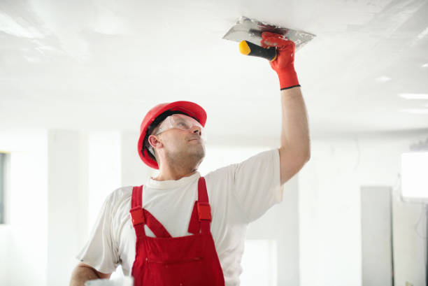 Best Mold Documentation for Insurance Claims  in Moss Point, MS
