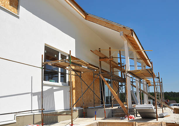 Best Mold Damage Restoration  in Moss Point, MS