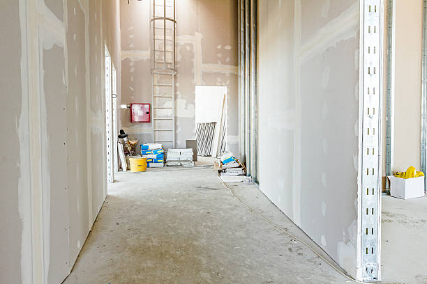 Best Black Mold Removal  in Moss Point, MS